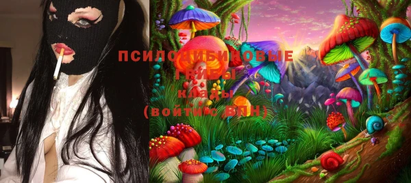 спиды Заводоуковск