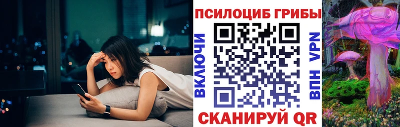 Псилоцибиновые грибы Psilocybe  Купить  Алапаевск 